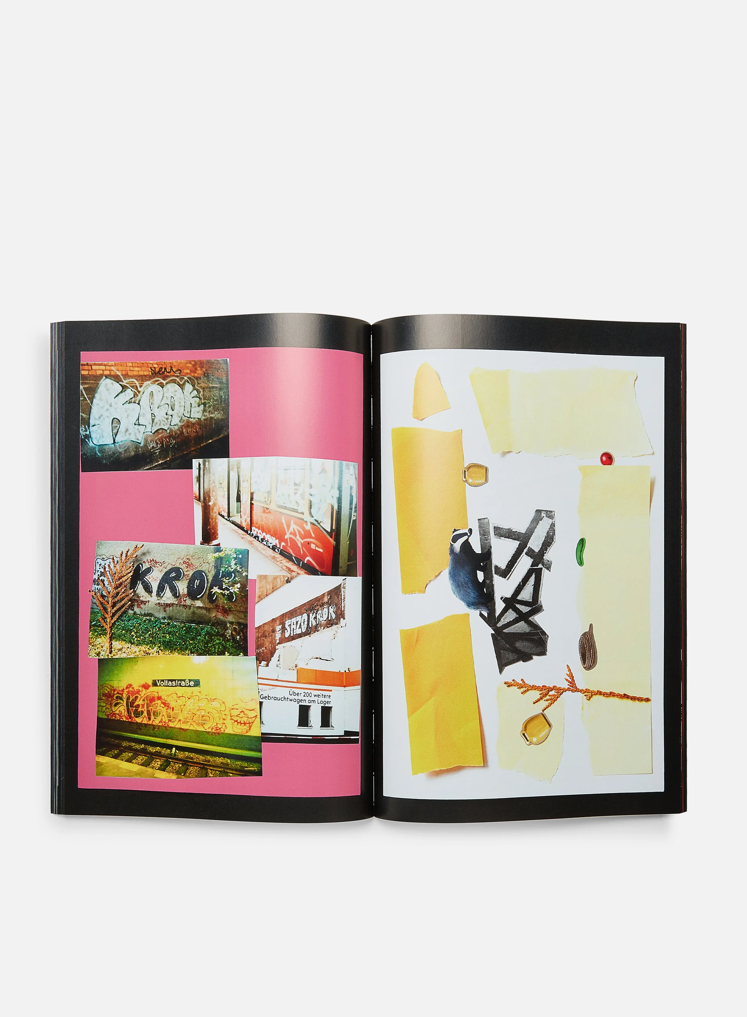 Krazy Krok & Die Verruckten Popel - Image 4