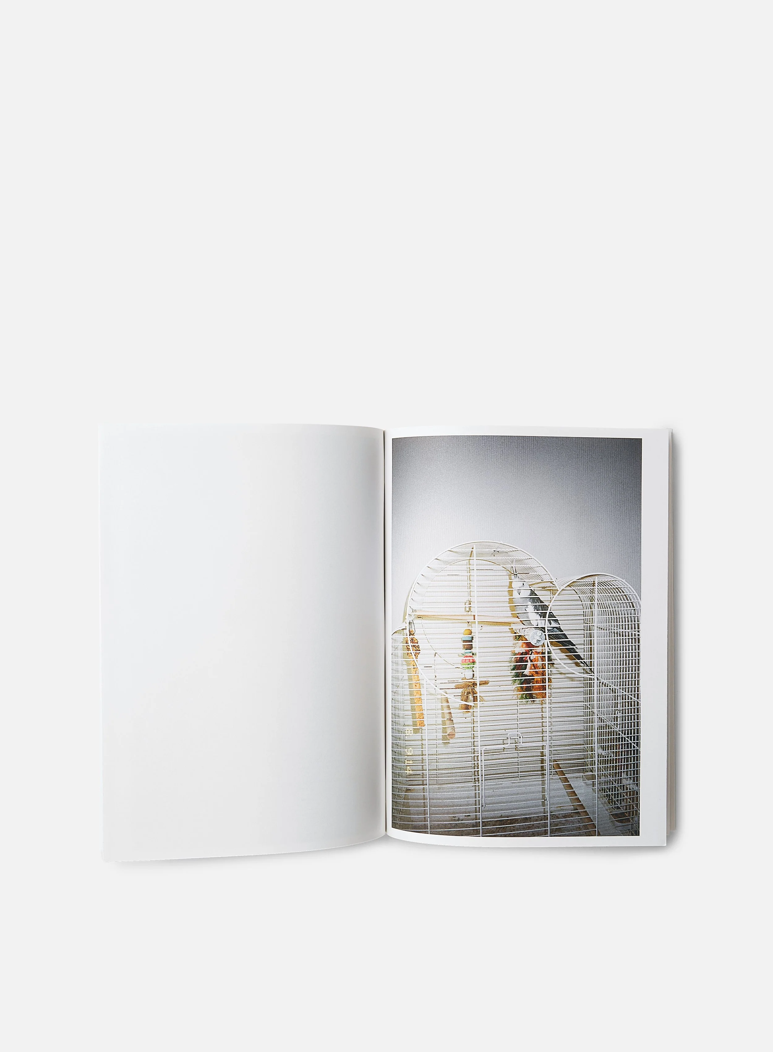 Nieves Ari Marcopoulos: Solon - Image 2